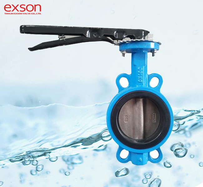 1.4529 Butterfly Valve